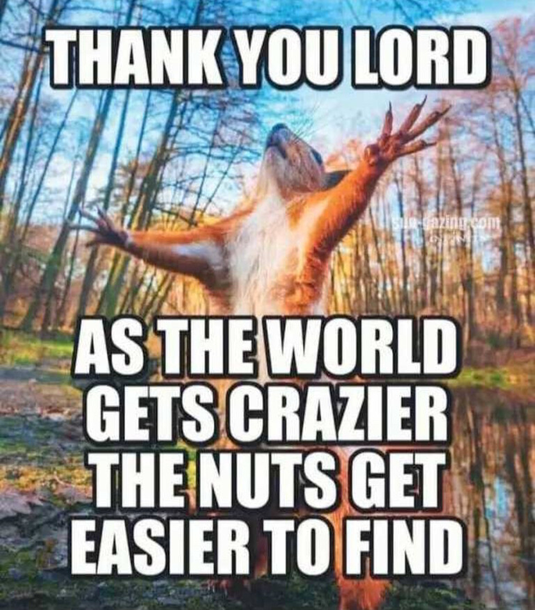 nuts.jpeg