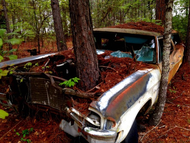 old-car-with-tree-growing-through-the-hood-in-alabamaxoc-18353.jpg