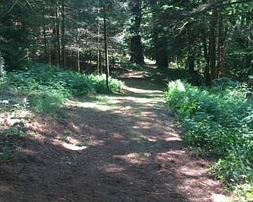 One of many trails.jpg