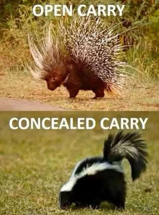 open carry.jpg