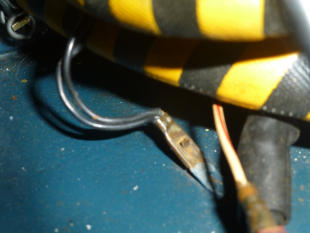 P1020762RS.JPG