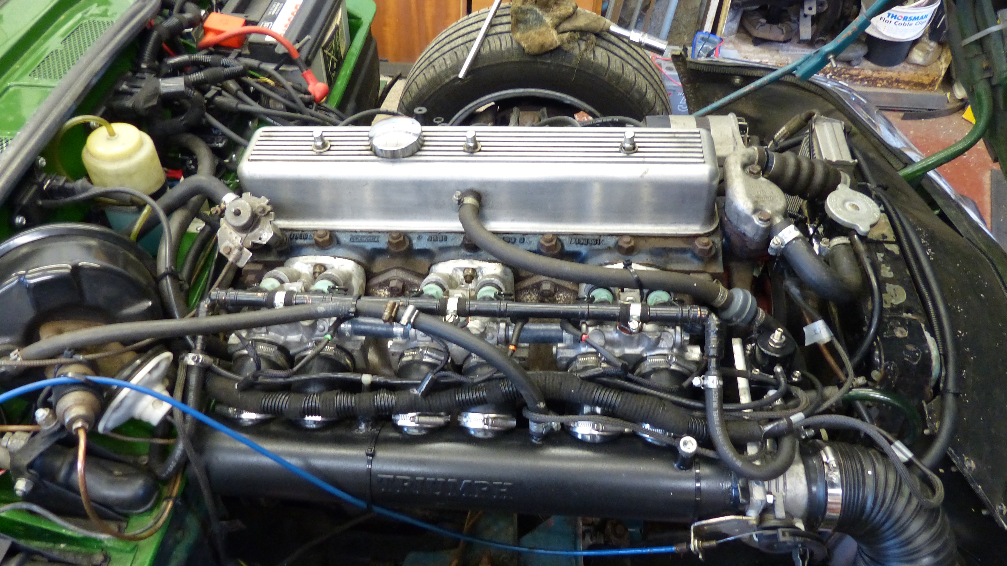 P1130912 (2).JPG