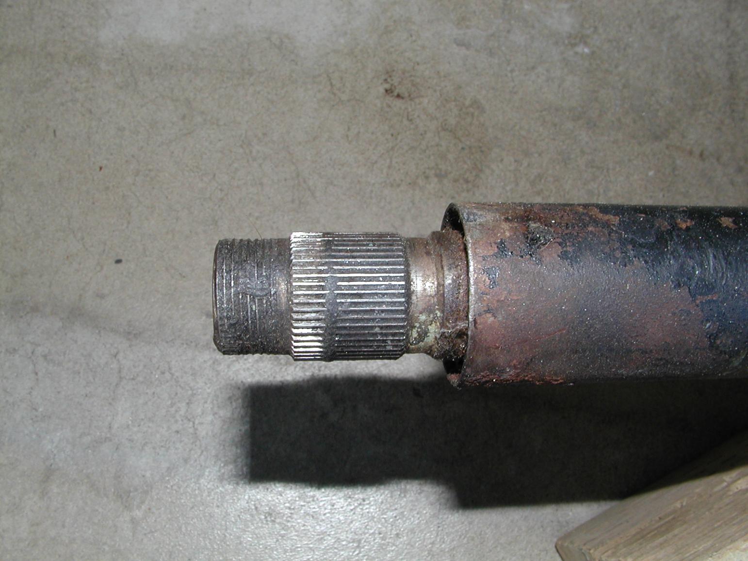 P4140516.jpg