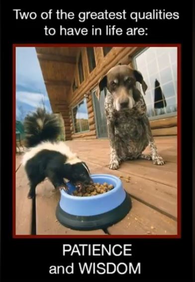 Patience and Wisdom.JPG