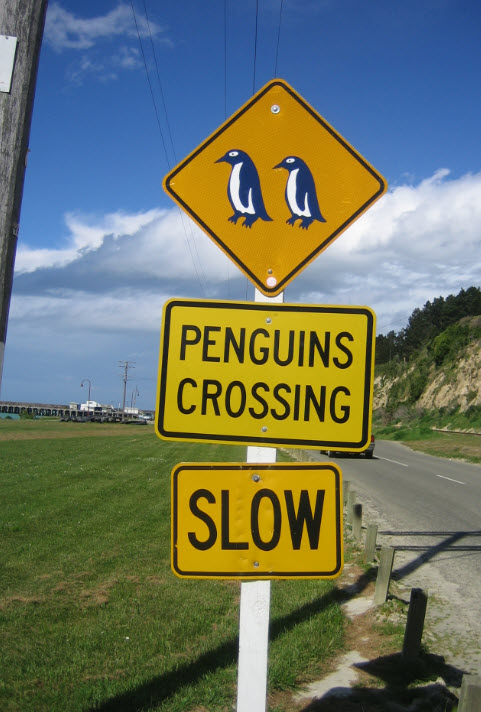 penguins.jpg