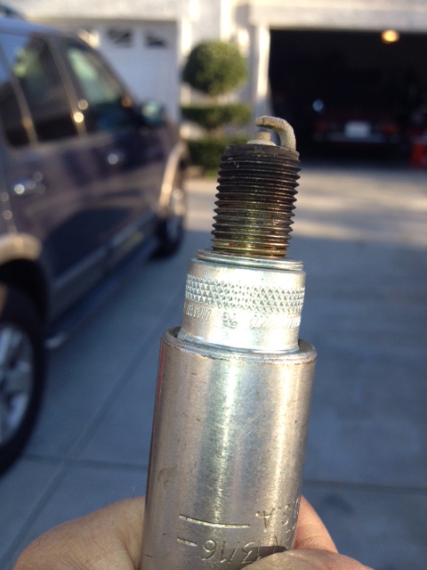 Plug photo.JPG