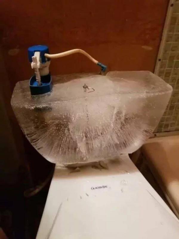 polar.jpg