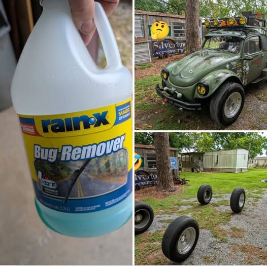 rain-X bug remover.jpg