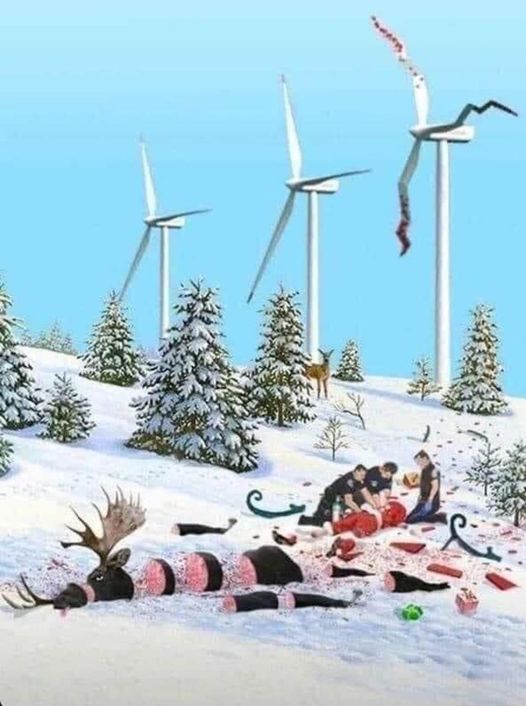 raindeer strike.jpeg