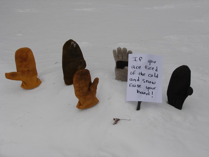 Raise your hand.jpeg