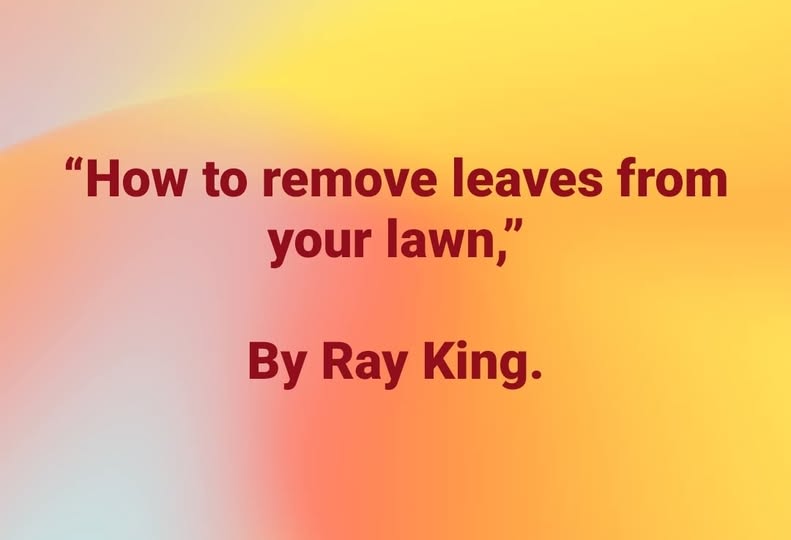 Ray King.jpg