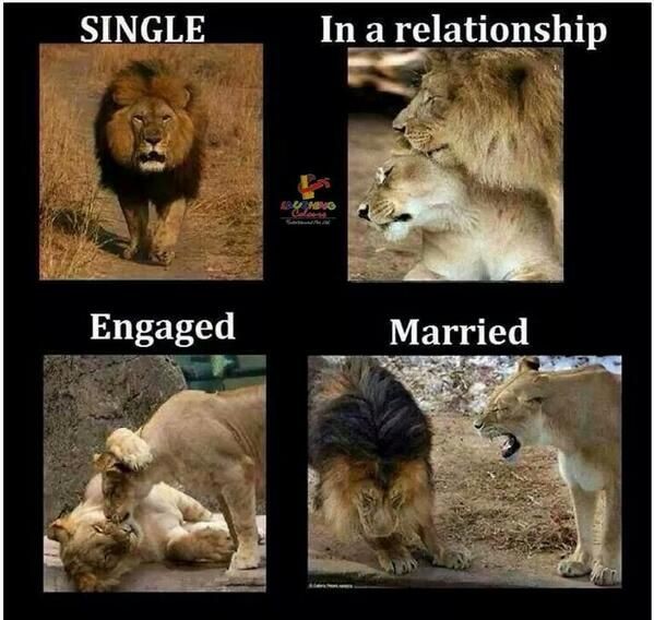 relationships.jpeg