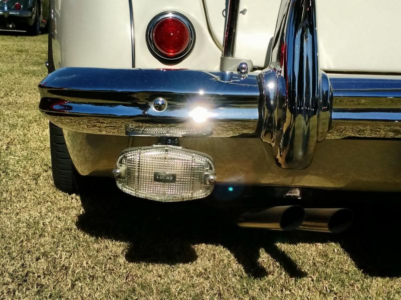 reverse light.jpg