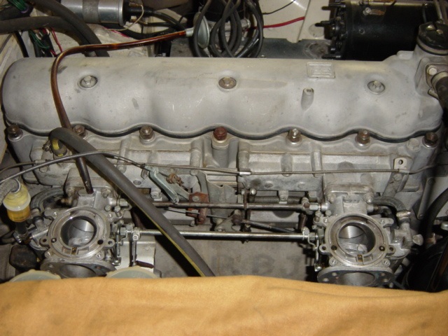 RHealey2.jpg