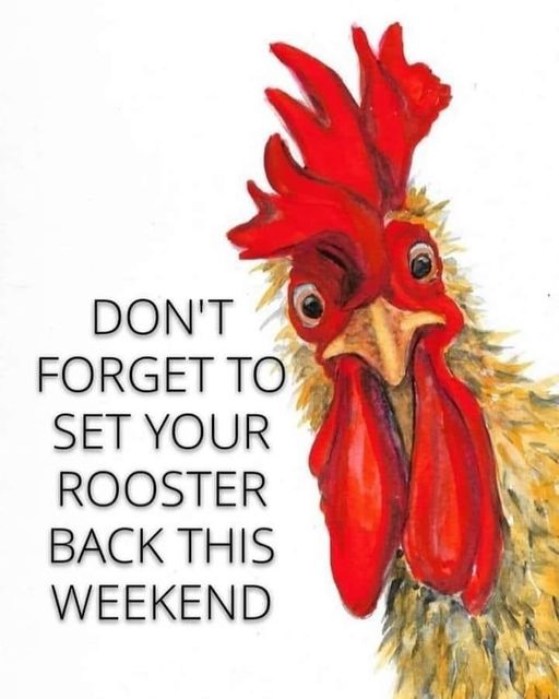 rooster.jpg