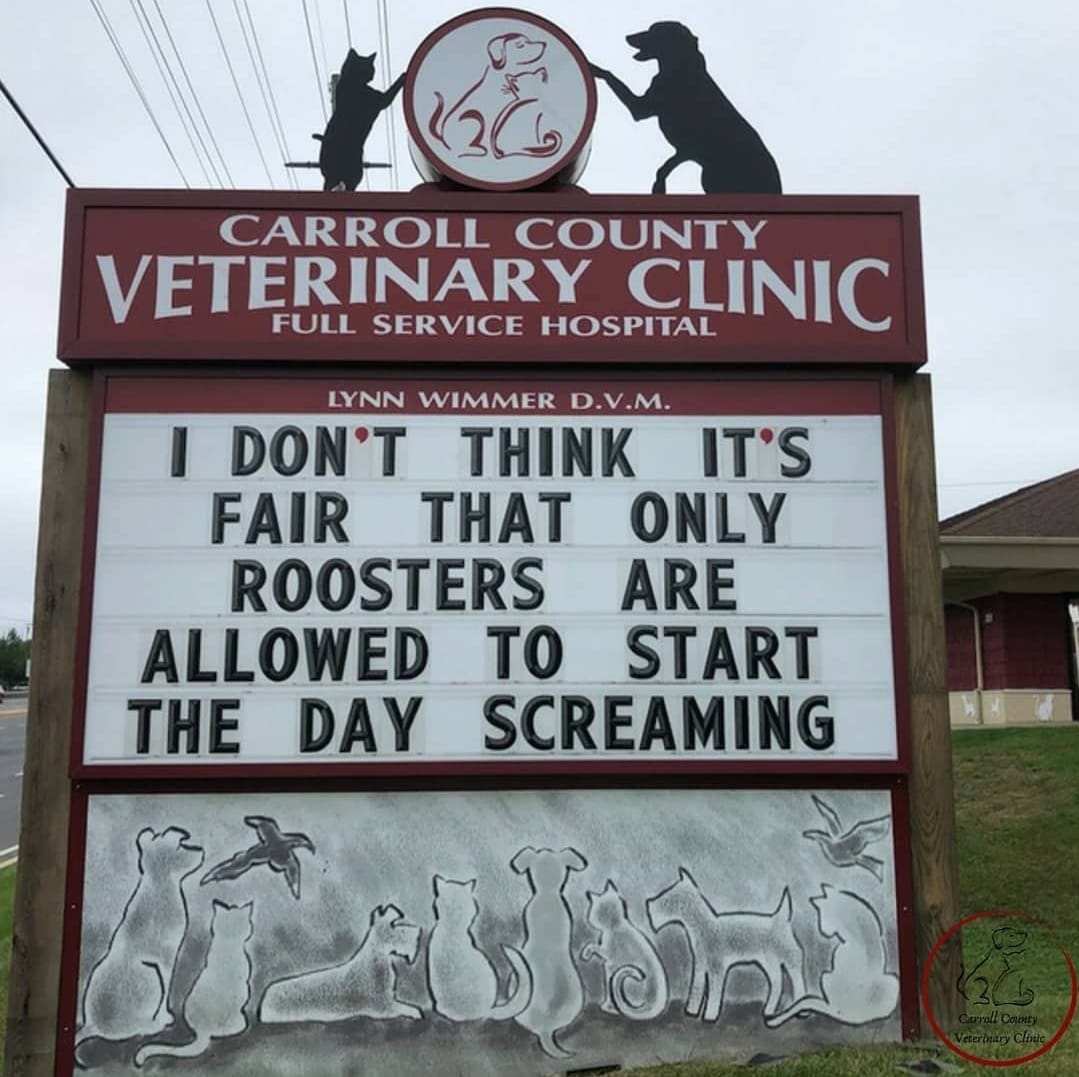 roosters.jpg