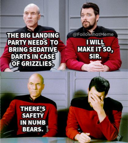 safety in numb bears.jpg