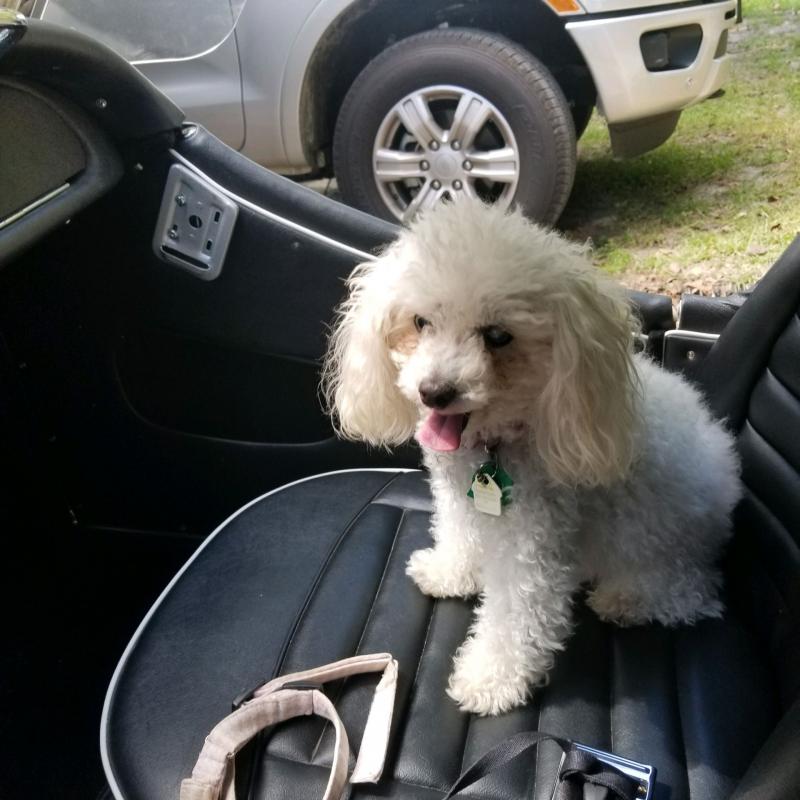 Sammie in the TR s.jpg