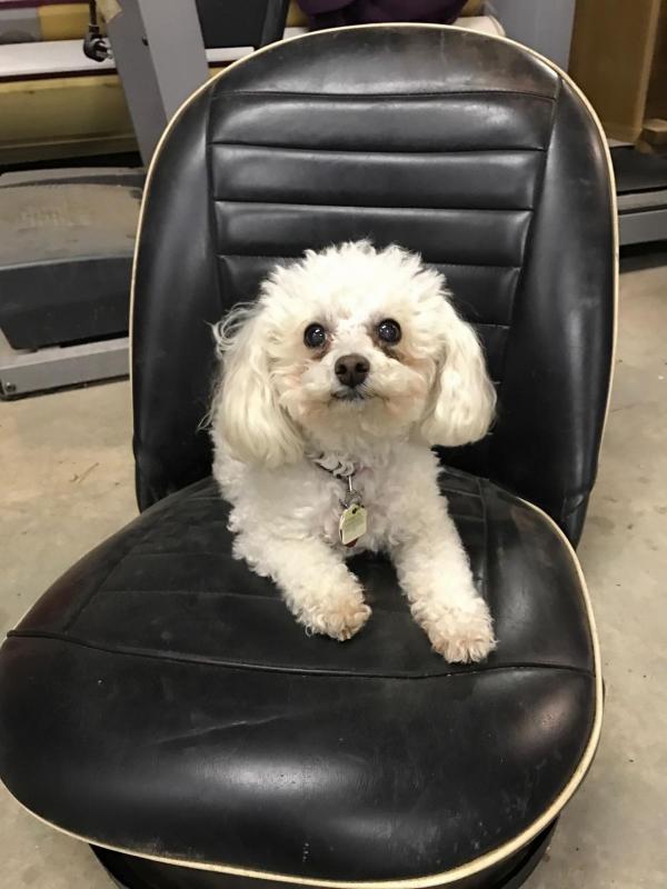 Sammie on TR seat.jpg
