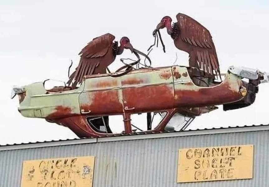 Scavenger Yard.jpg