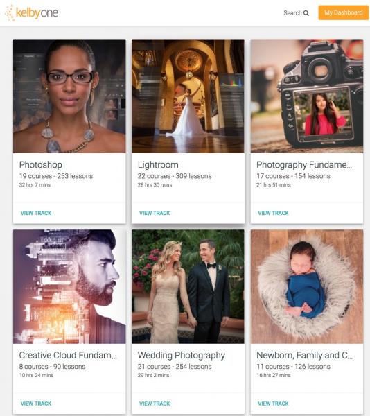 Screen Shot 2018-07-11 at 8.09.06 PM.jpg