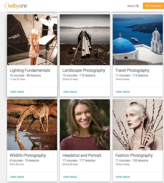 Screen Shot 2018-07-11 at 8.09.23 PM.jpg