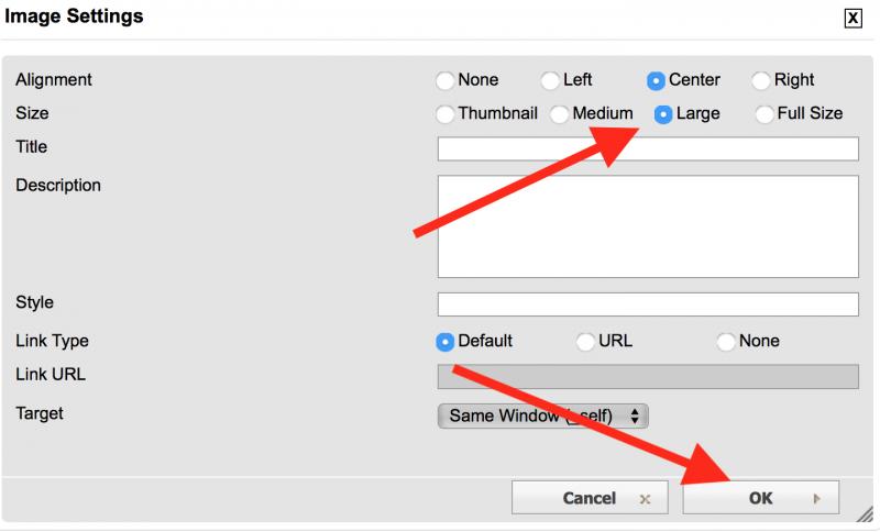 Screen Shot 2020-02-07 at 3.43.32 PM.jpg