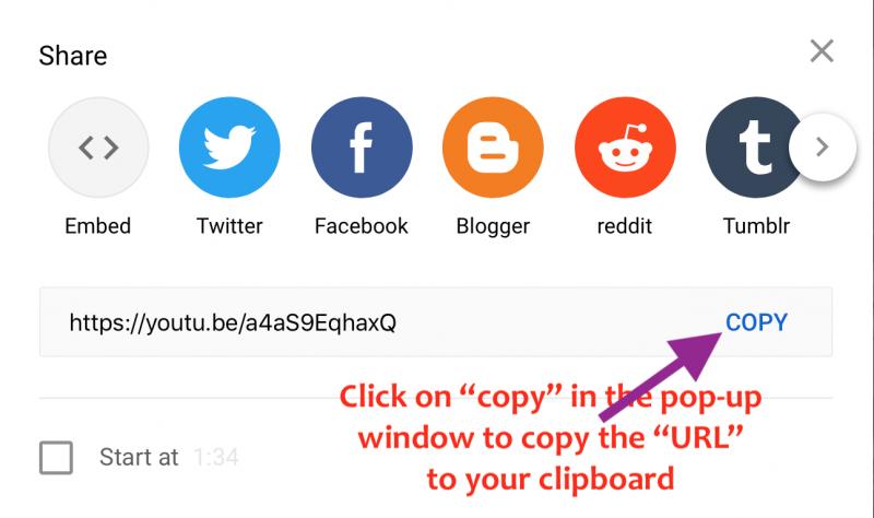 Screen Shot 2020-12-05 at 8.09.35 AM.jpg