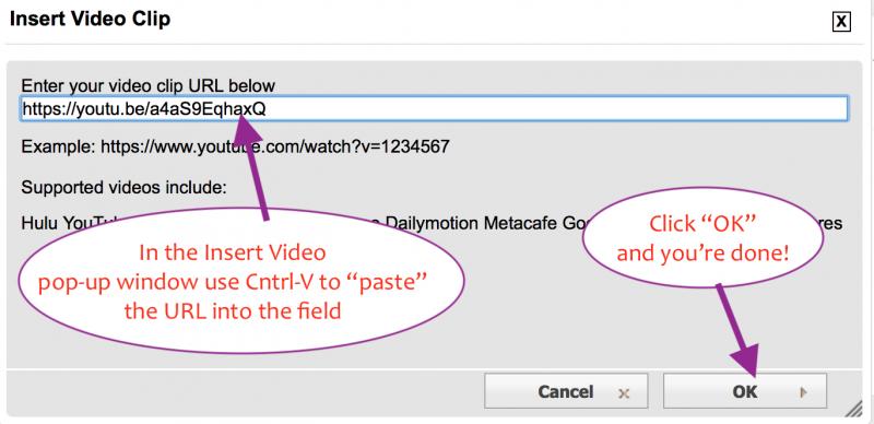 Screen Shot 2020-12-05 at 8.10.47 AM.jpg