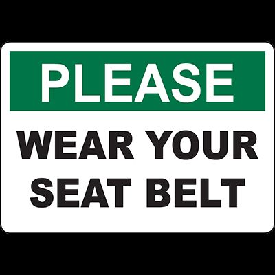 seat belt.jpg