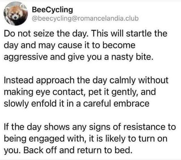 sieze the day.jpg