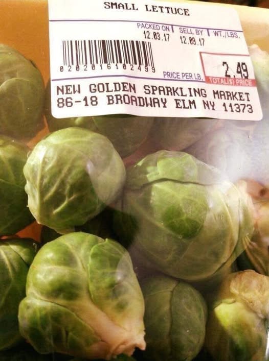 small lettuce.jpg