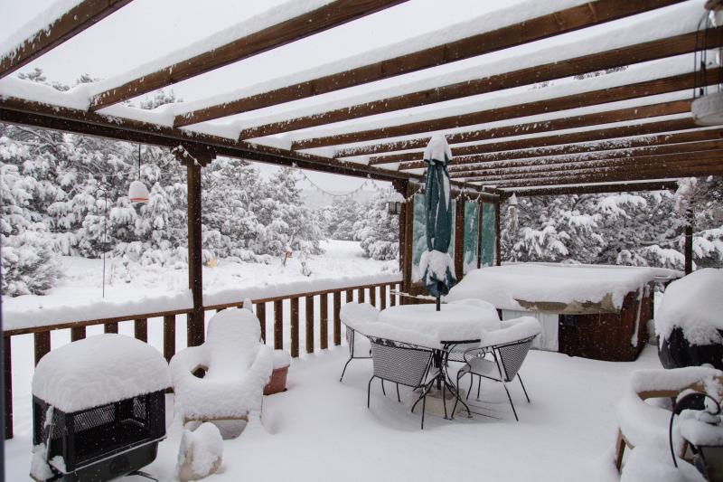 Snow 12 Nov 18-1.jpg