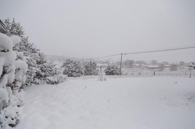 Snow 12 Nov 18-2.jpg