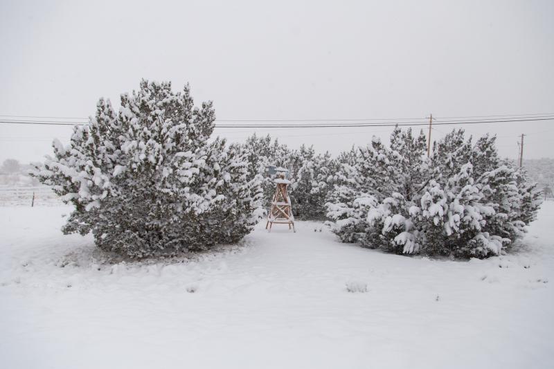 Snow 12 Nov 18-3.jpg