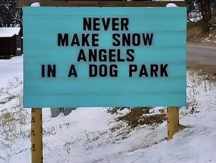 snow angels in dog park.jpg