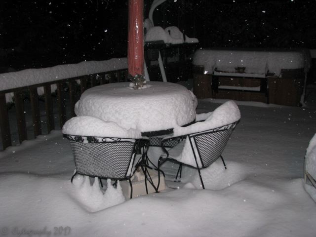 Snow Deck Mar 2014.jpg