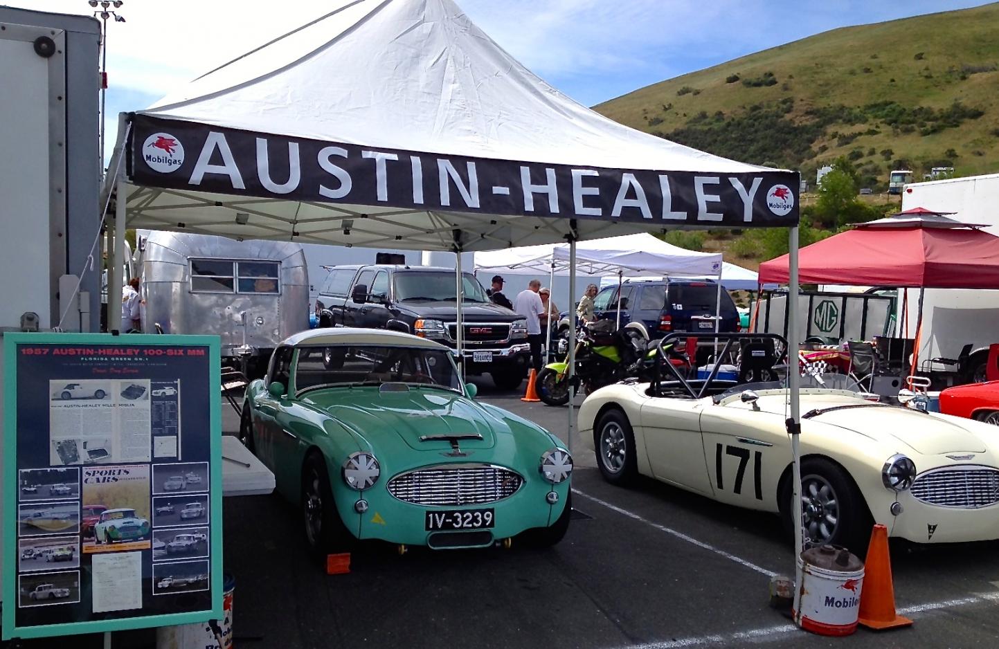 Sonoma Healey Pits II.jpg