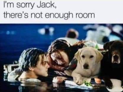sorry jack.jpeg