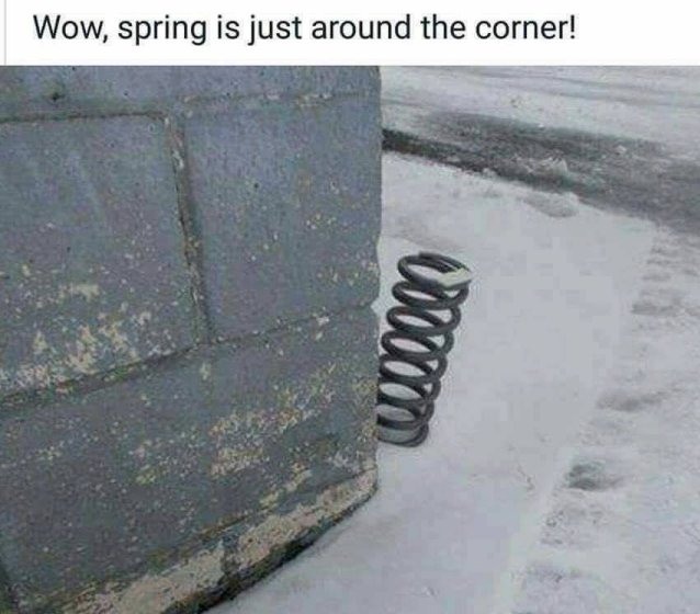 spring.jpg