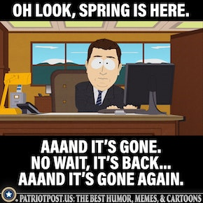 spring.png