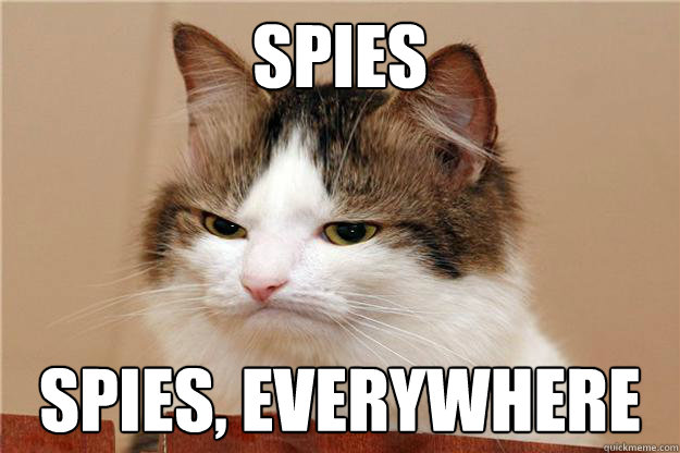 spycat.jpg