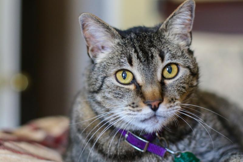 Squiggy-23367 copy.jpg