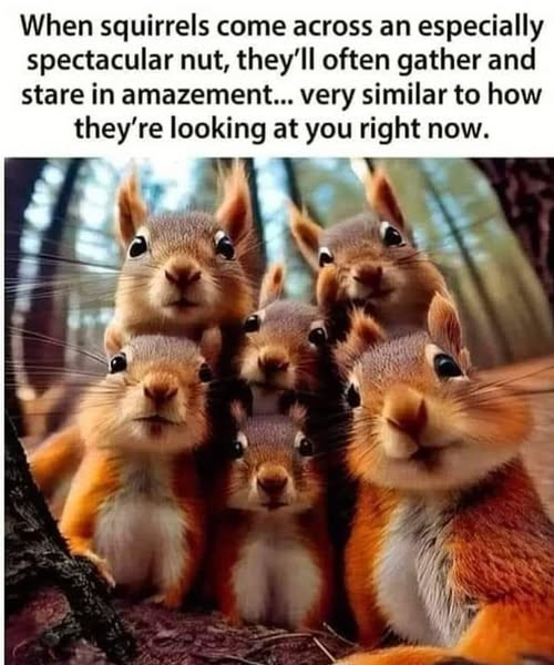 squirrel-nut.jpg