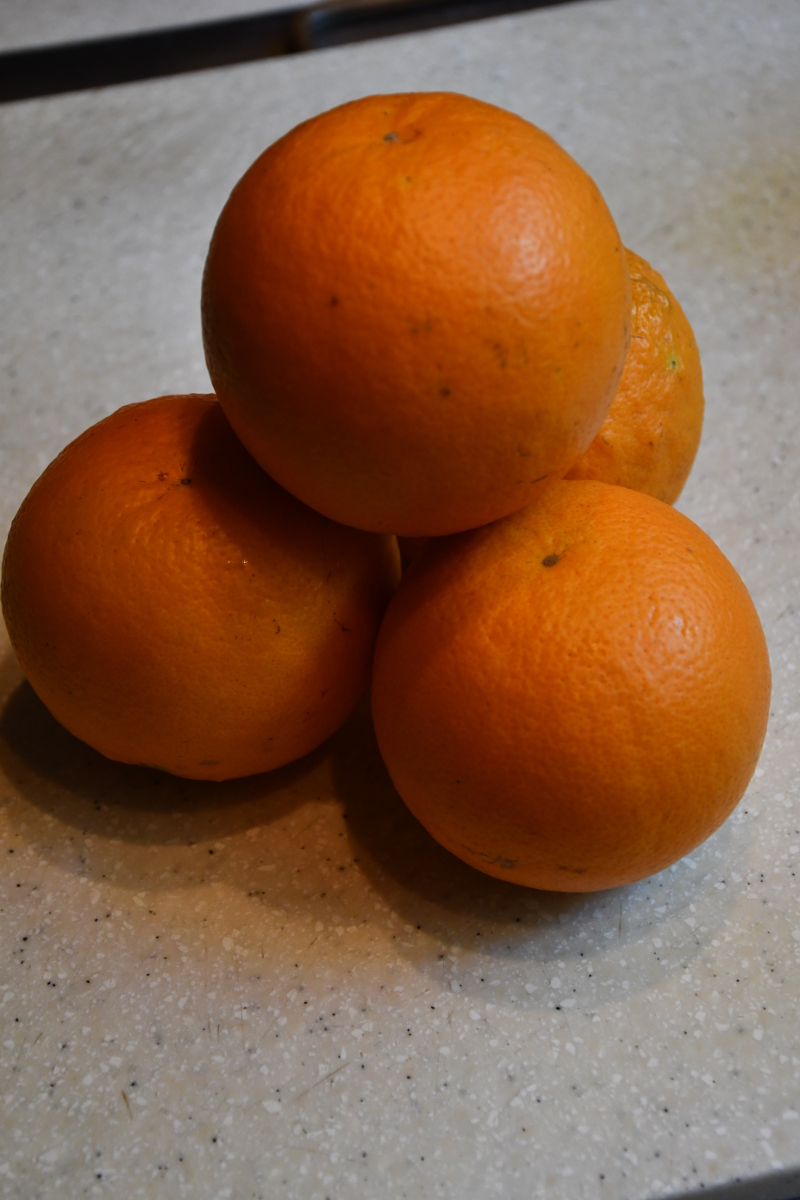 SS5_1212sc.JPG
