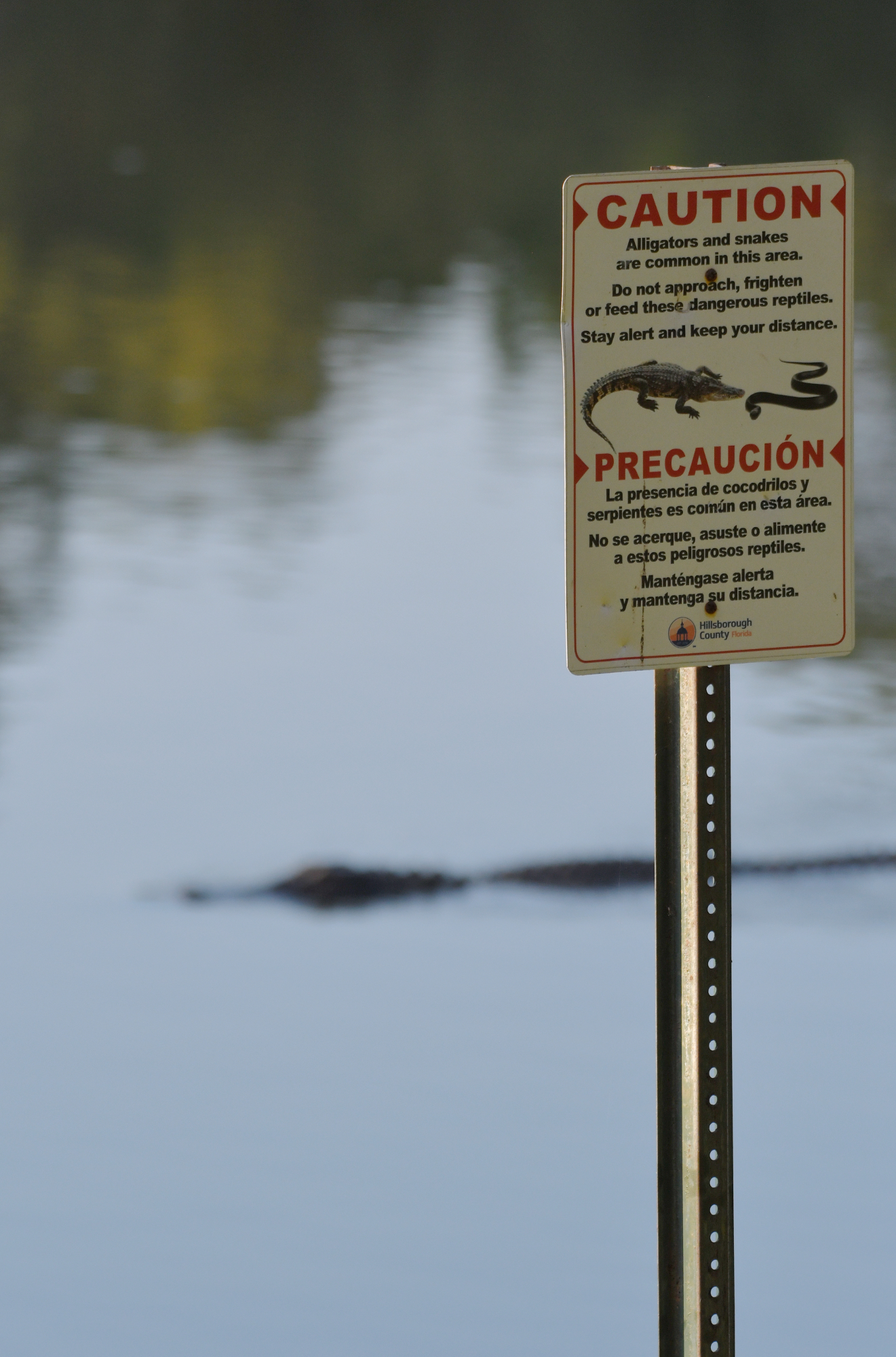 SS5_7819Gcrsc.JPG