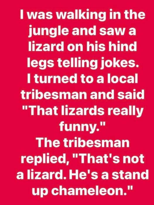 stand up chameleon.jpg