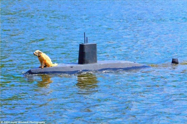 Subwoofer.jpg