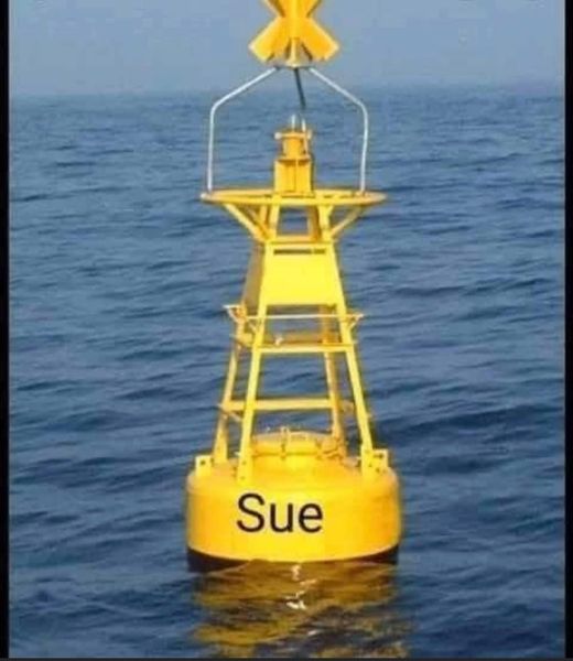 Sue.jpg