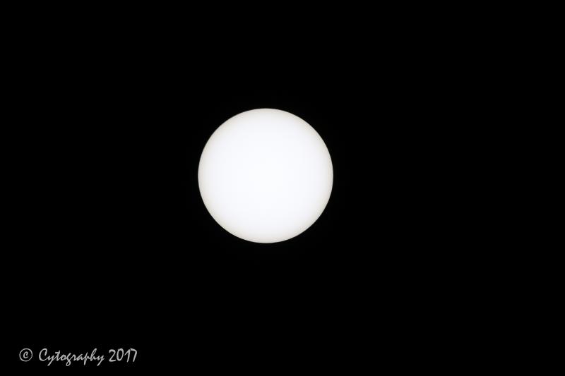 Sun 1-30PM 1 Aug 17.jpg